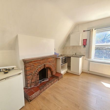 Studio Flat, Madeley Road, W5 - Photo 3