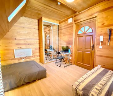 PAU CENTRE - LOCATION MEUBLEE : Charmant T1 meublé de 18m² - Photo 1