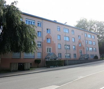 Attraktive Wohnung im steuergünstigen Thalwil - Foto 6