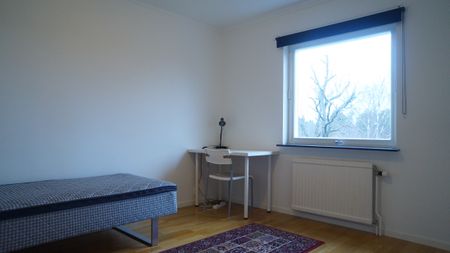 Kungsvägen, Trångsund - Foto 2