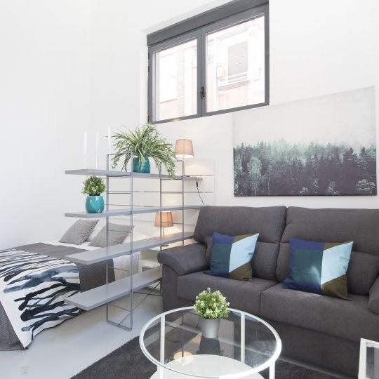 madrid, Community of Madrid 28017 - Foto 1