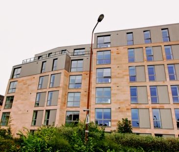 Gold Studio - Photo 6