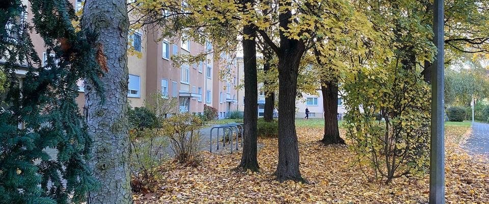 Nürnberg 90480. 1 Zimmer Wohnung 31m. Ab sofort.Oder 2/2026. - Foto 1