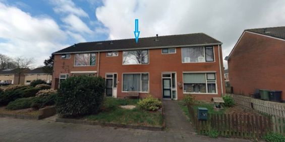 Sjallemastraat 28 , Opende - Photo 3