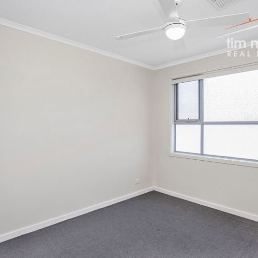 3/59 Grey Avenue Welland SA - Photo 1