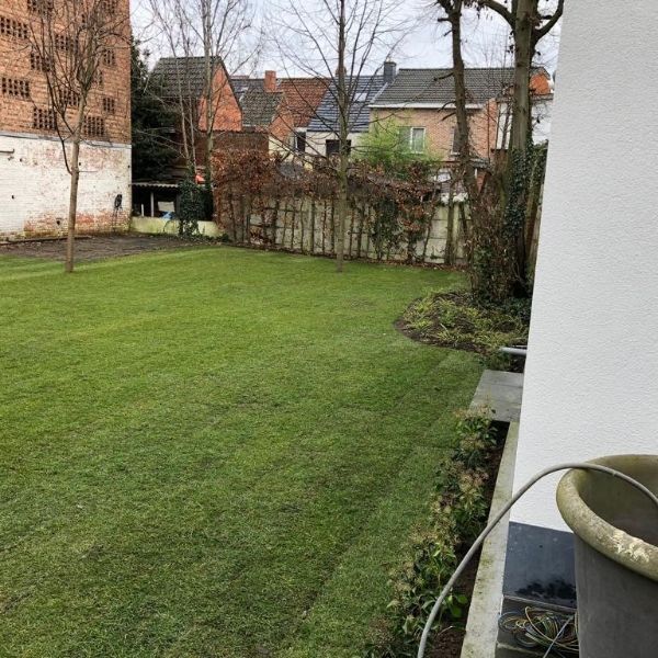 Appartement te huur Lokeren - Photo 1