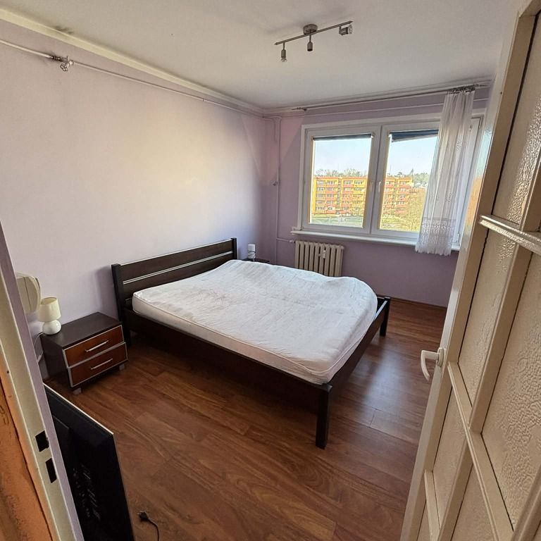 (Symbol 439842) - Zdjęcie 1