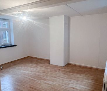 Frisch sanierte Wohnung in Steckborn - Foto 2