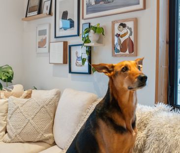 For Lease - 205 Beech Street, Collingwood, Ontario - Photo 1