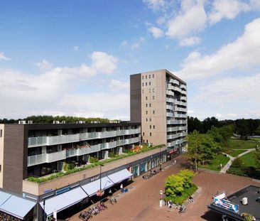 Rio de Janeiroplein 19, 1334HE Almere - Photo 2