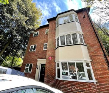 Bodorgan Road, Meyrick Park, Bournemouth, BH2 - Photo 6