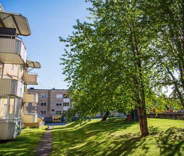 Källvägen 3 A, 94140, Piteå - Photo 6