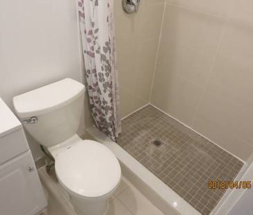 Downtown Toronto, College/Bathurst Basement room shared bath 800/Month - Photo 2