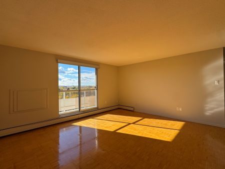 For Lease - 64 Windward Street Unit# 802, St. Catharines, Ontario - Photo 3