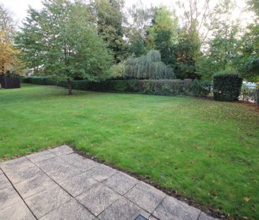 3 bed House for rent - Photo 5