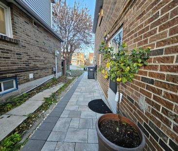 For Lease - 143 Murray Street Unit# Bsmt, Brampton, Ontario - Photo 6