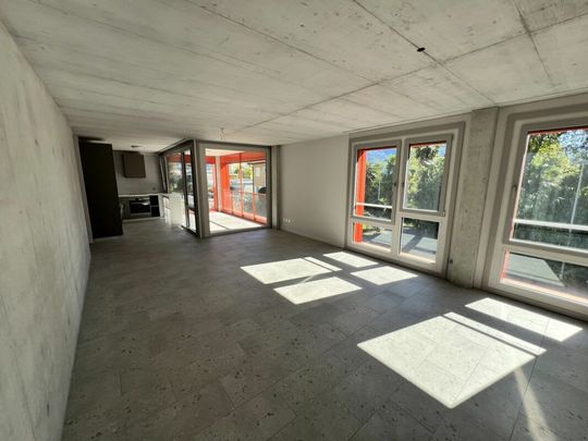 3.5 Zimmer, 82 m², 1. Stock - Foto 1