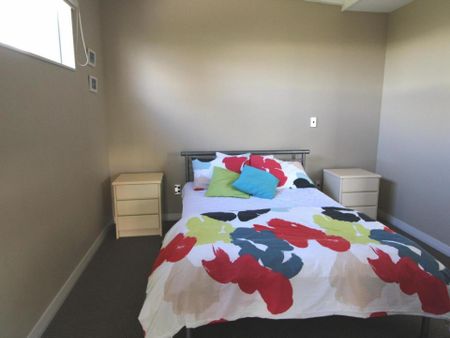 Family Fun on Corokia - Photo 3