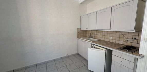 Location Appartement 1 pièce 18m² GRENOBLE 38000 - Photo 2