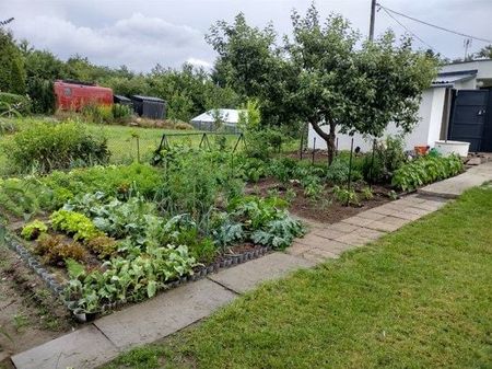 Pokój, ul. Narutowicza - Zdjęcie 2