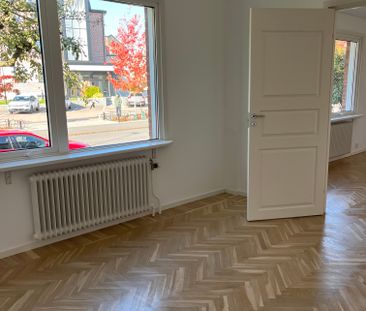 Skånegatan, Halmstad - Photo 5