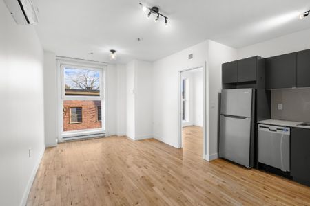 Condo for rent, Montréal (Le Plateau-Mont-Royal) - Photo 4