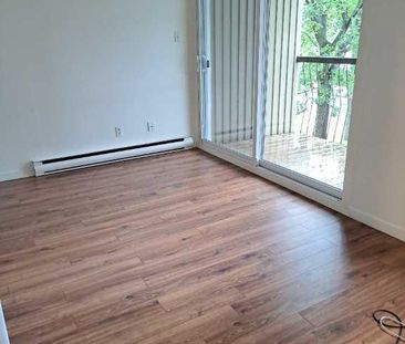 4 1/2 Chauffé/Éclairé, Décembre, Lévis secteur Desjardins, UQAR, CFP - Photo 1