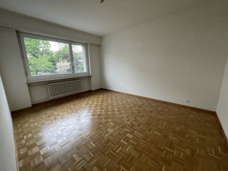 Charming apartment in Allschwil - Photo 3