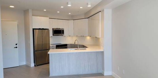 Brand New 1 bed condo for rent - Photo 2