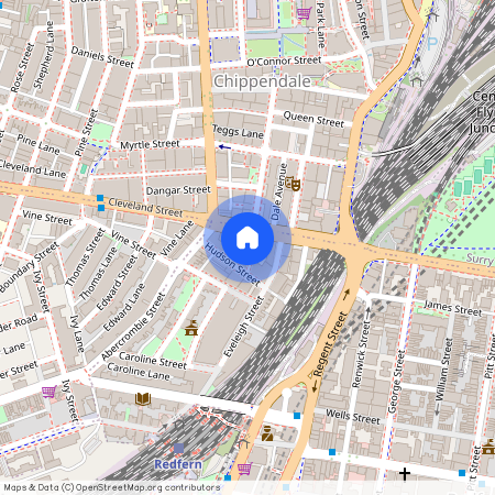 142 Abercrombie Street, Sydney, New South Wales 2016