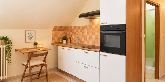 Location Appartement 1 pièce 20m² ST MARTIN D ABBAT 45110 - Photo 3