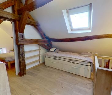 Maison meublée 3 pièces avec jardin à Olivet - Photo 2