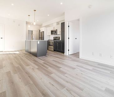 Virginia: Gold Accents – 196 Colony, Winnipeg, MB - Photo 5