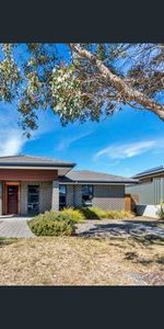 234 Gorman Drive, Googong, NSW 2620 - Photo 4