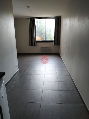Appartement T1bis / T2 - Quartier Saint Michel - Photo 5