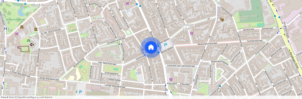 Theresia Oost, 5041 AL, Gasstraat, Tilburg