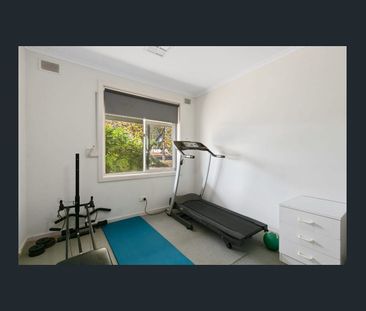 3 BEDROOM HOUSE WITH SHED - Photo 5