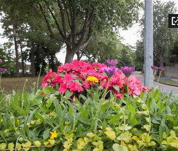 1-bedroom apartment for rent in Clondalkin, Dublin - Photo 1