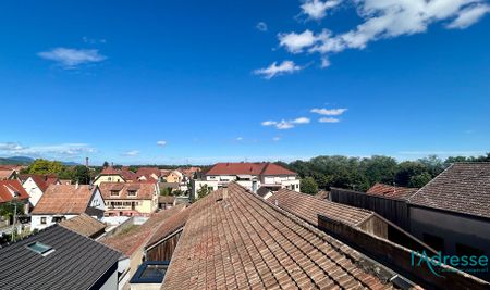 Location appartement 4 pièces, 77.30m², Ingersheim - Photo 5