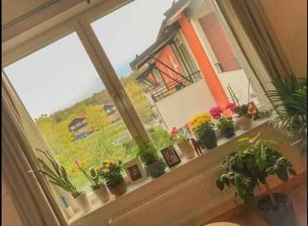 Döbelnsgatan, Uppsala - Foto 5