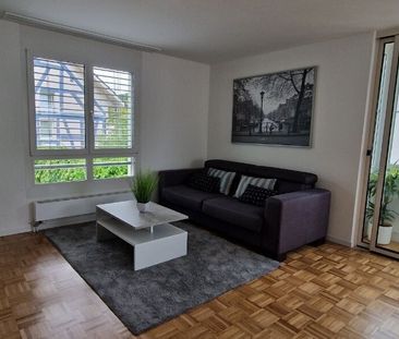 2-ROOM APARTMENT IN LANGWIESEN (ZH), FURNISHED, TEMPORARY - Photo 5