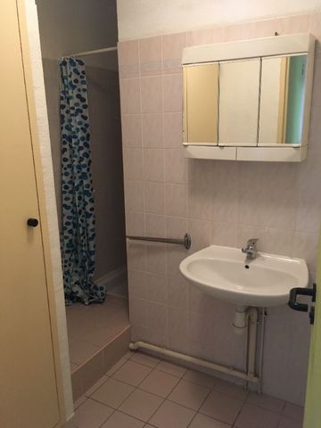 Location Appartement 1 pièce Meublé 30m² MONTPELLIER 34080 - Photo 5