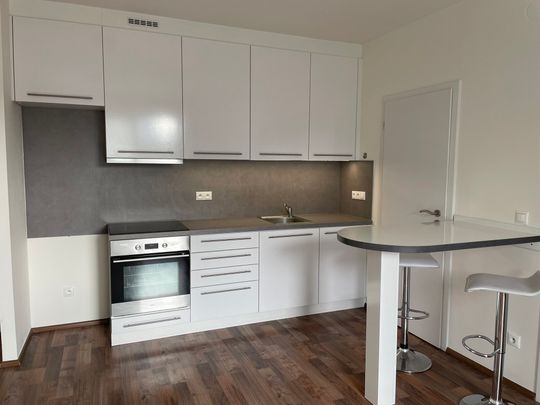 Pronájem bytu 2+kk 41 m², Vomáčkova, Brno - Photo 1