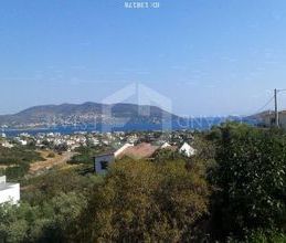 Μονοκατοικία για ενοικίαση - Μαρκόπουλο, - Photo 3