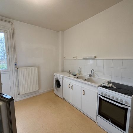 Appartement meublé Grenade sur l'Adour 2 pièces 43,54 m2, - Photo 3