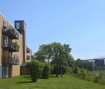 3 Dillman Place - Photo 4