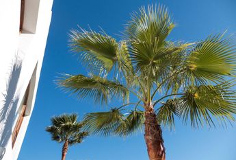 Luxury 4 bedroom Detached House for rent in Santa Eulària des Riu, Spain