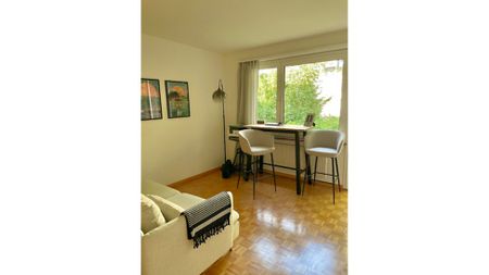 1 Zimmer-Wohnung in Zürich - Kreis 6, möbliert, auf Zeit - Foto 5