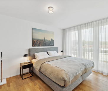 Basel-Münchenstein – 7 min. from the SBB train station in Basel - Photo 3