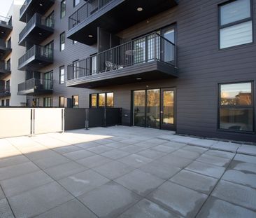 Osborne Terraces - Photo 6